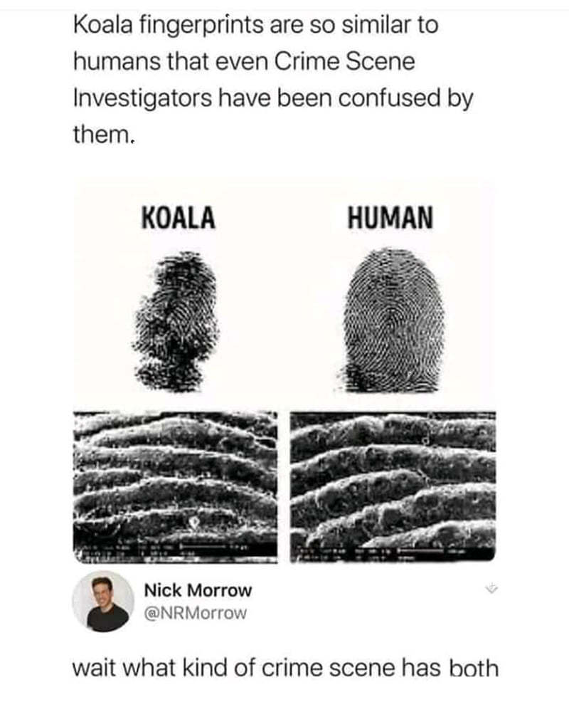 fingerprints3.jpg