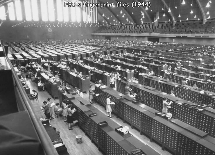 fingerprintsfiles.jpg