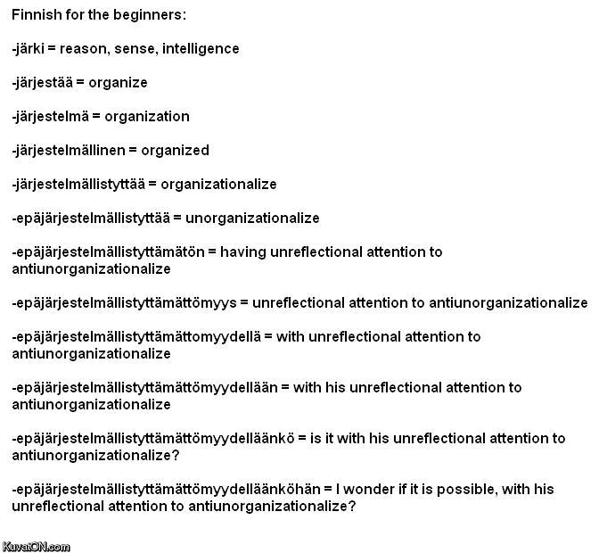 finnish_for_the_beginners.jpg