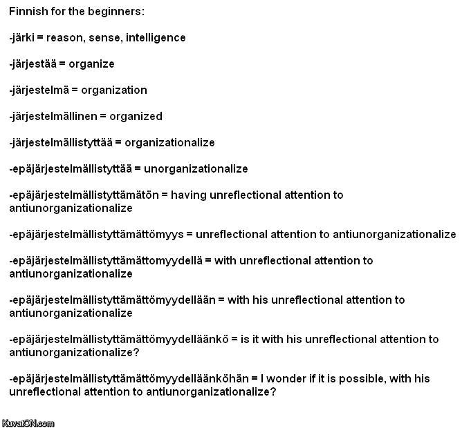 finnish_for_the_beginners.jpg