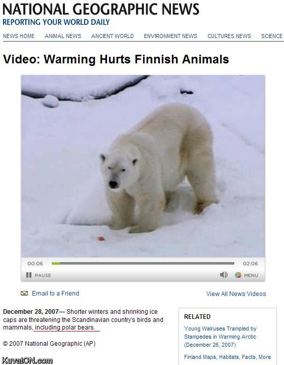 finnish_polar_bears.jpg