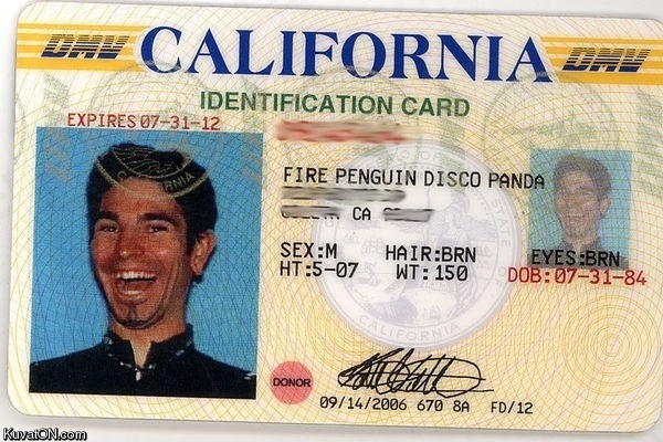 fire_penguin_disco_panda.jpg