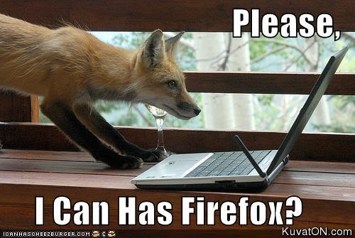 firefox.jpg