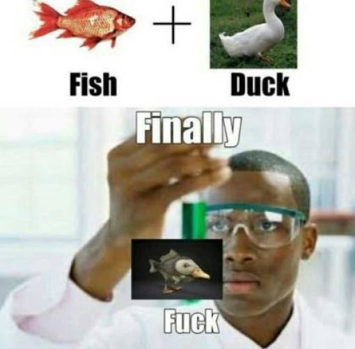 fish_duck.jpg
