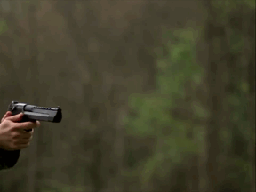flamering2.gif