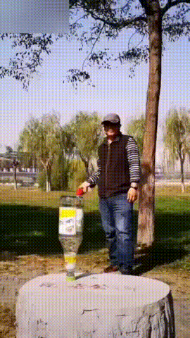 flapss2.gif