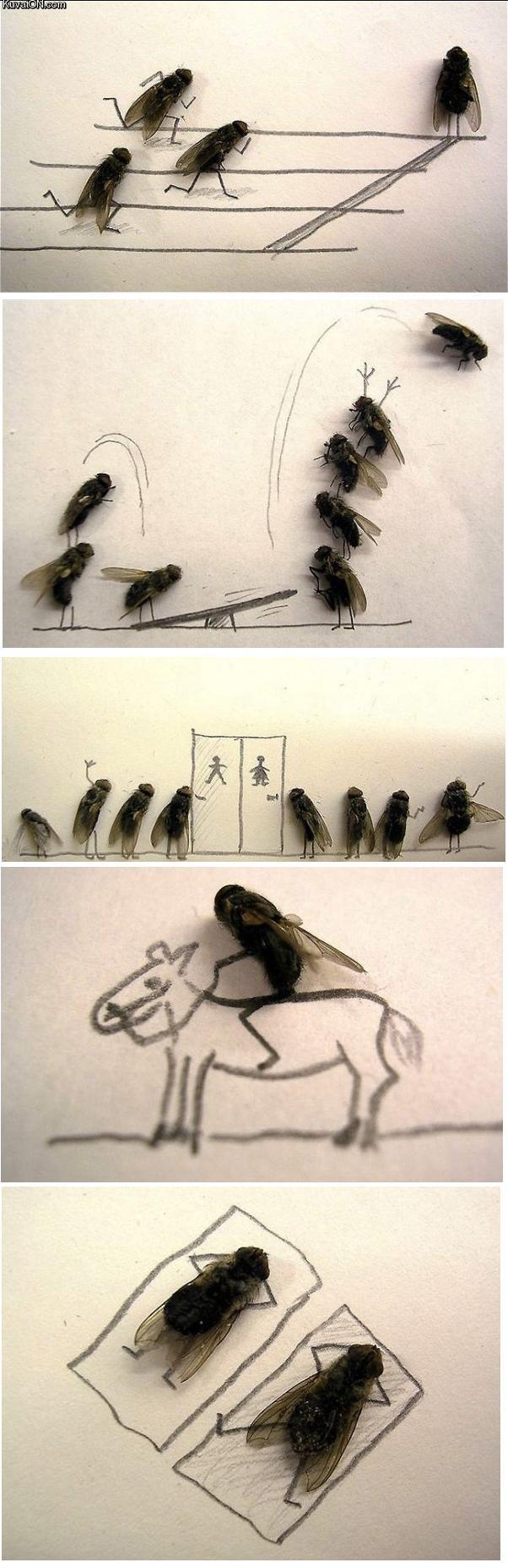 flies_art.jpg