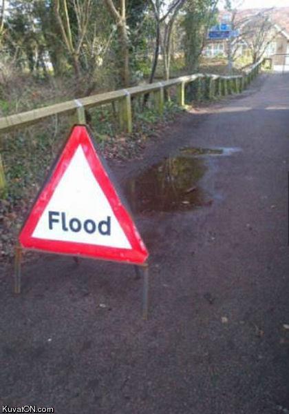 flood3.jpg