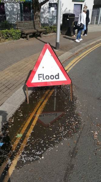 floood.jpg