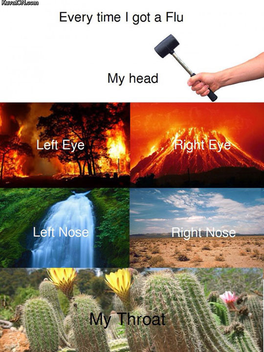 flu_2.jpg