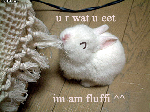 fluffi_bunny.png