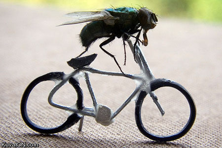 flybike.jpg