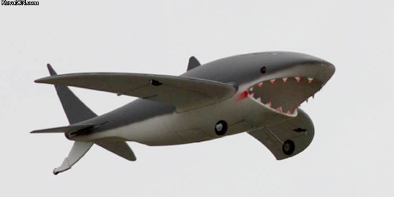 flying_shark_model_plane.jpg