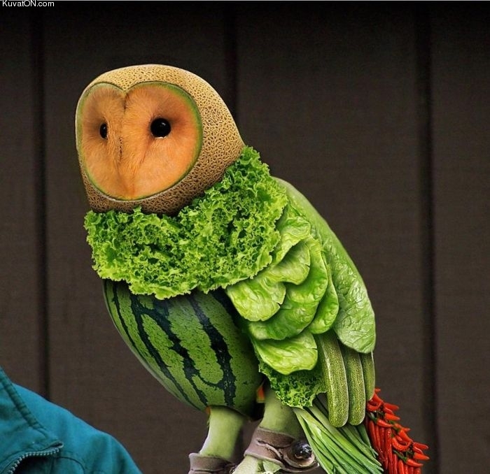 food_art_owl.jpg