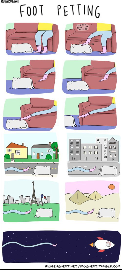 foot_petting.jpg