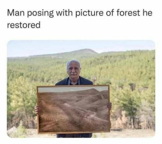 forestrestored.jpg
