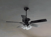 forgot_how_to_ceiling_fan.gif