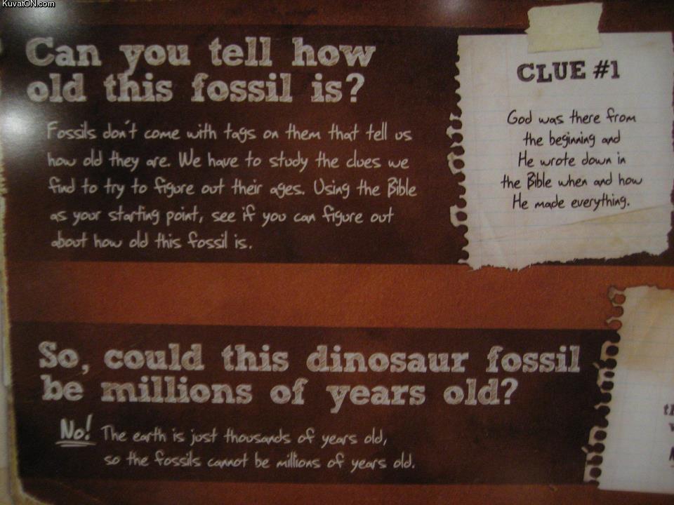 fossils.jpg