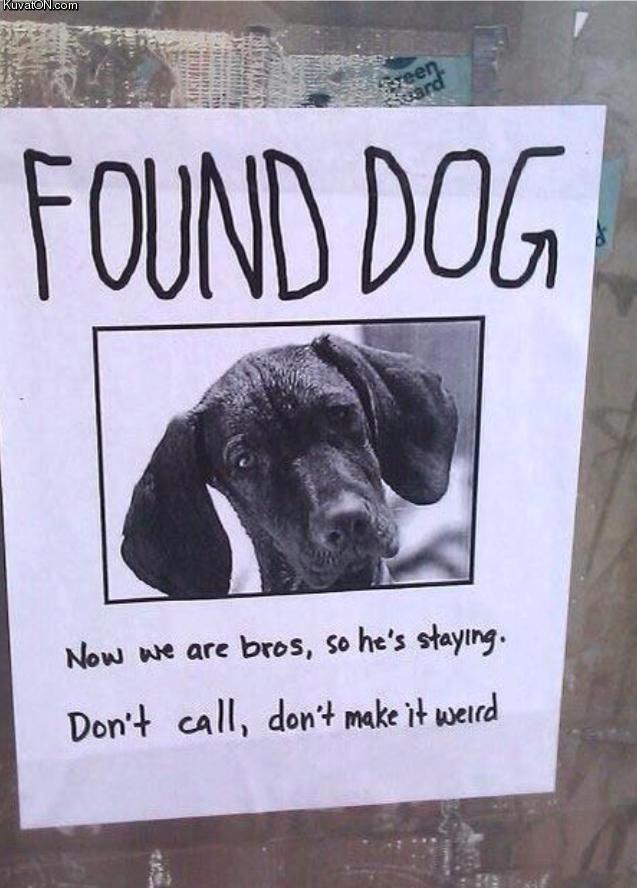 found_dog.jpg