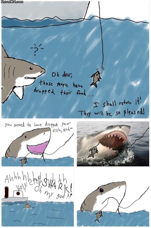 friendly_shark.jpg