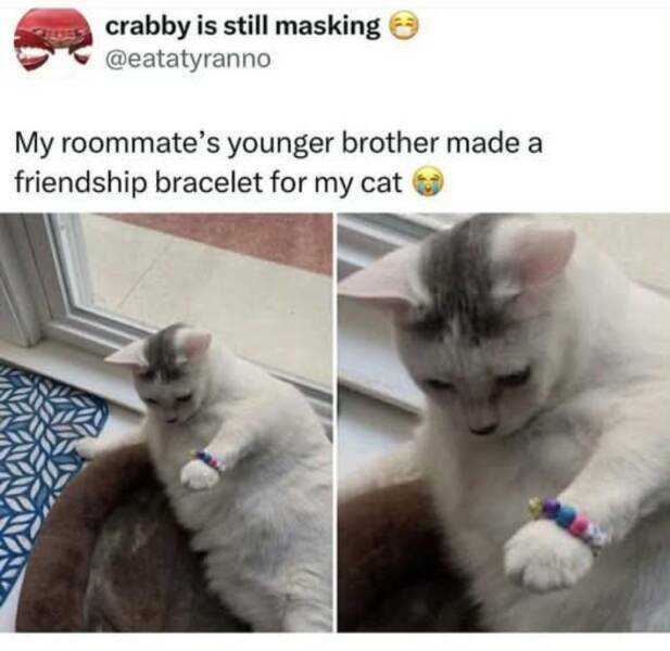 friendship3.jpg