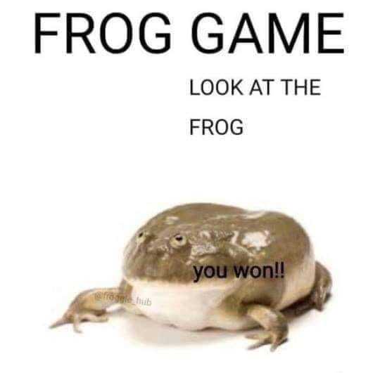 frog_game.jpg