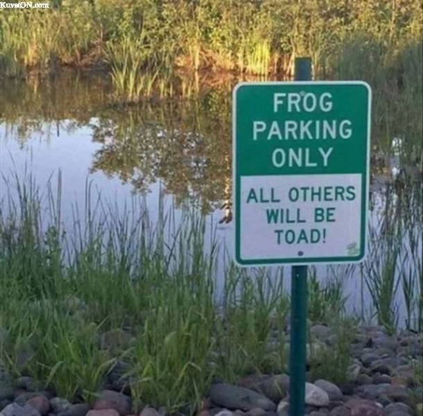 frog_park.jpg