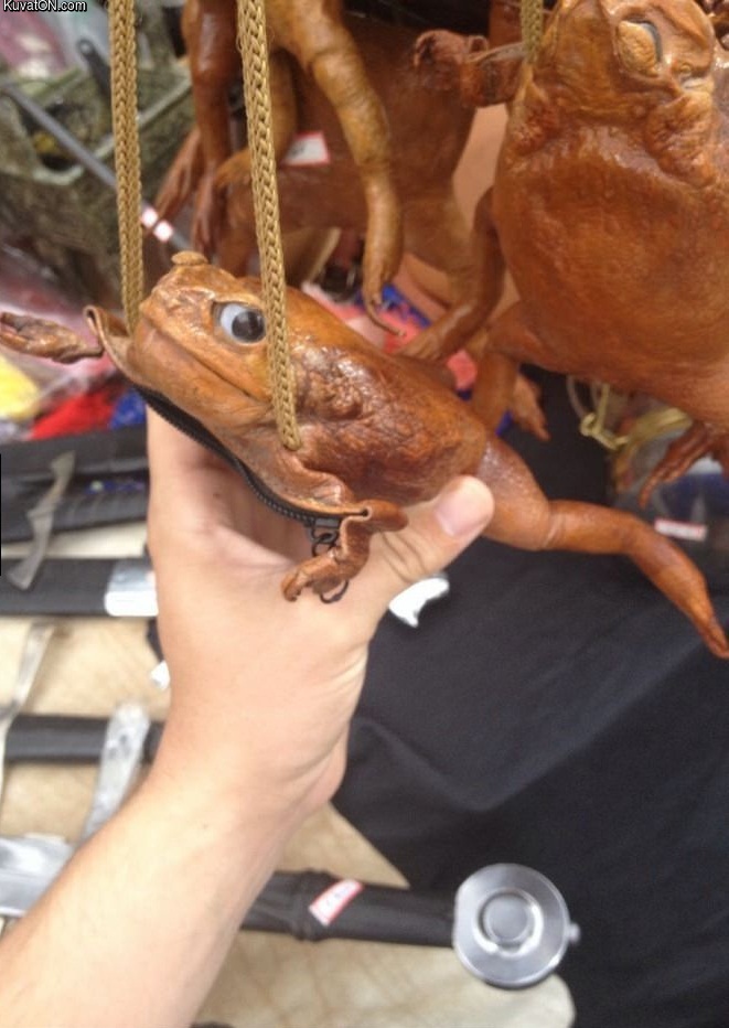 frog_purse.jpg