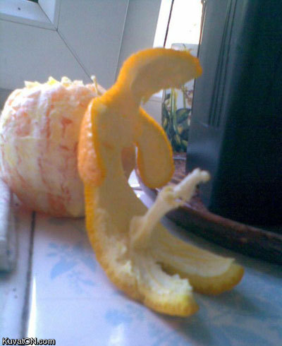 fruit_art2.jpg