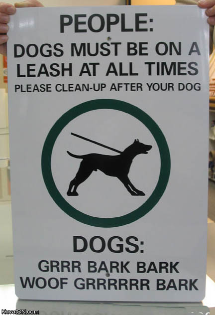 funny-dog-sign.jpg