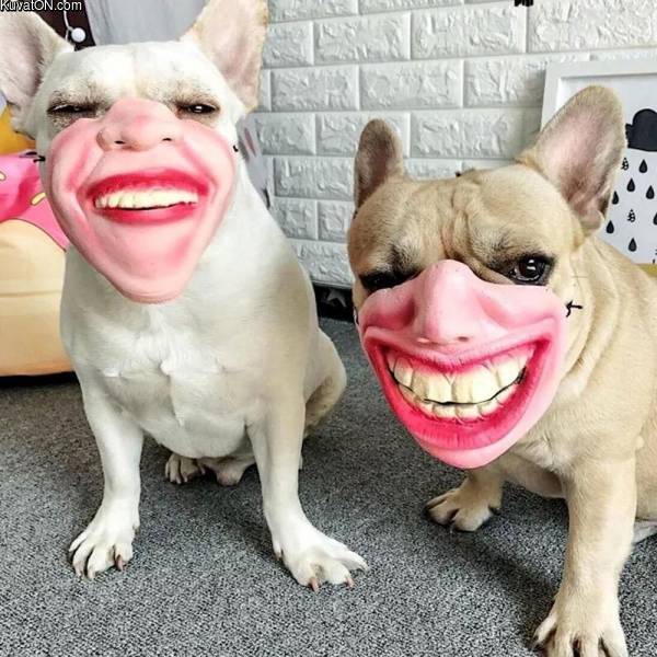 funny_masks.jpg