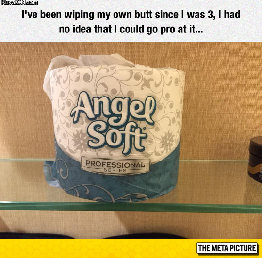 funnyangelsofttoiletpaperpro.jpg