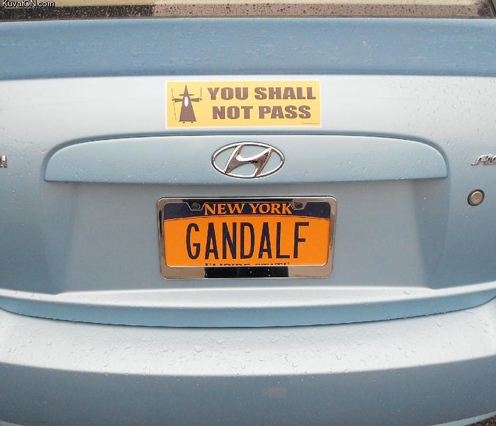gandalf_license_plate.jpg