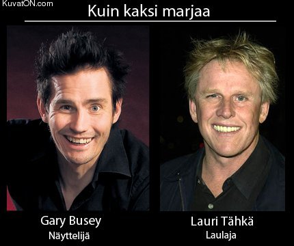 gary_busey_vs_lauri_tahka.jpg