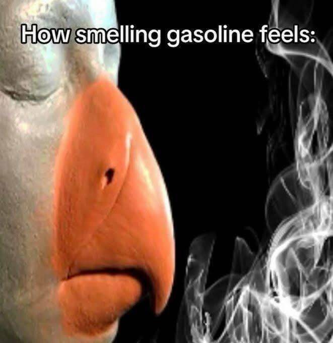 gasoline.jpg