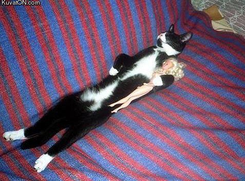 gentleman_longcat.jpg