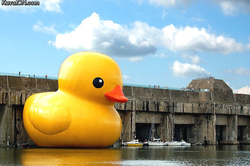 giant_rubber_duck.jpg