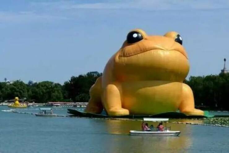 giantfrog.jpg
