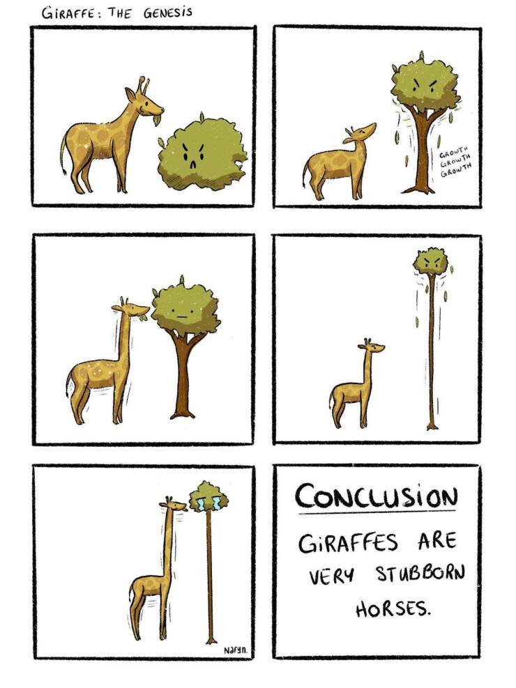 giraffe7.jpg