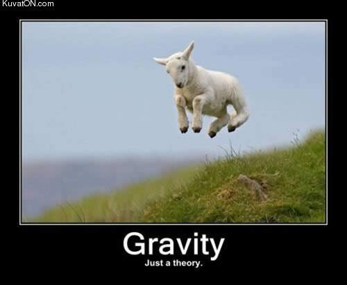 gravity.jpg