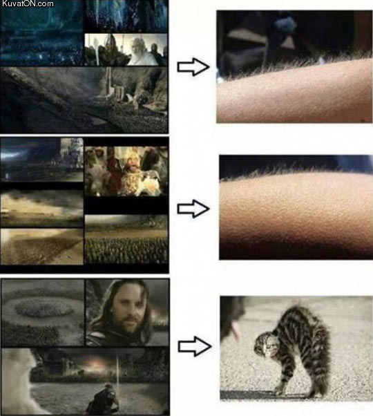 greatest_lord_of_the_rings_moments.jpg