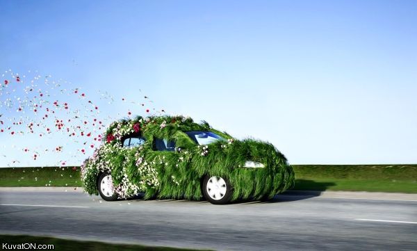 green_car.jpg