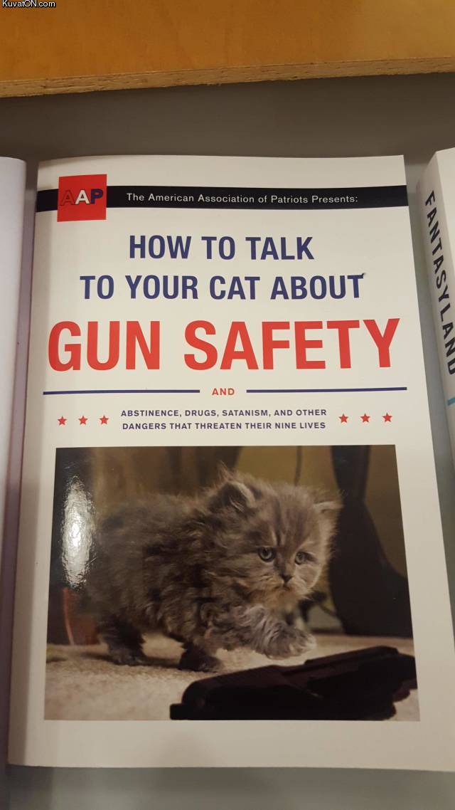 gunsafety_.jpg