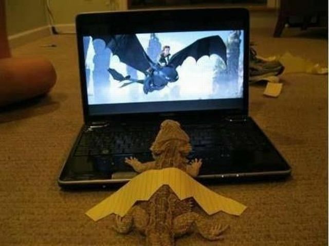 haaveilee.jpg