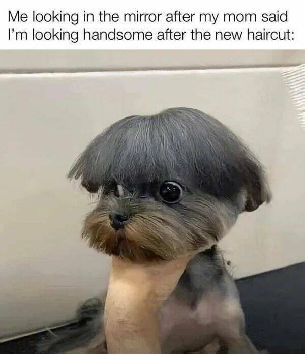 haircut7.jpg