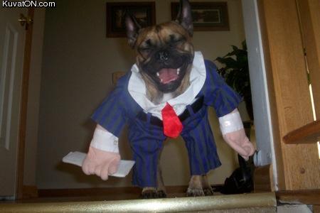 halloween_businessdog.jpg