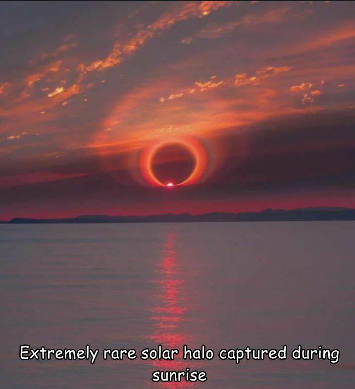 halo04.jpg