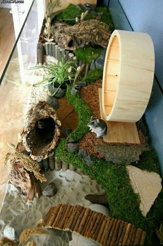 hamster_paradise.jpg