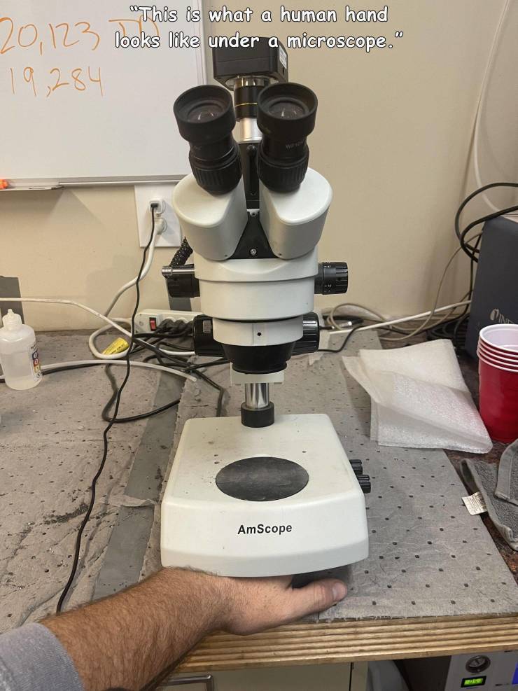hand_under_microscope.jpg