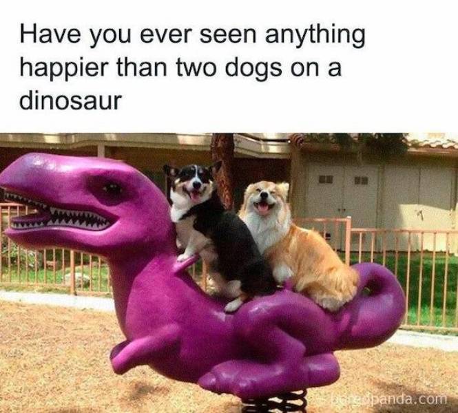 happy_dogs.jpg
